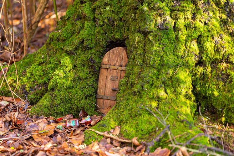 Relax in Your Own Fairy Garden