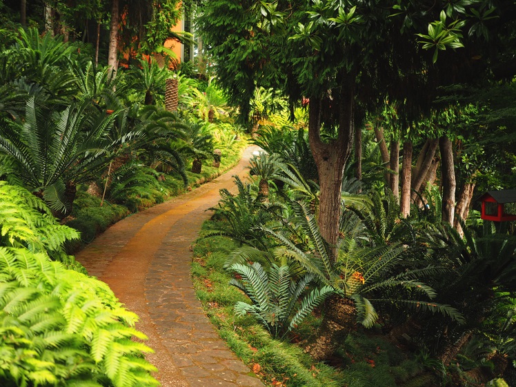 Magic Palace at Tropical Garden